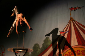 Les formations aux arts du cirque : analyse des pratiques