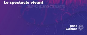 Les jeunes et le spectacle vivant : une étude du pass Culture